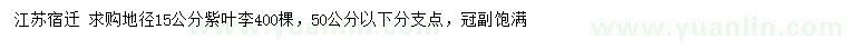 求購地徑15公分紫葉李