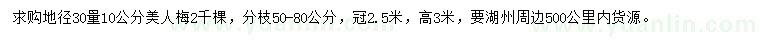 求購地徑30量10公分美人梅