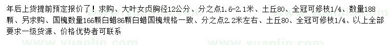 求購大葉女貞、國槐、白蠟