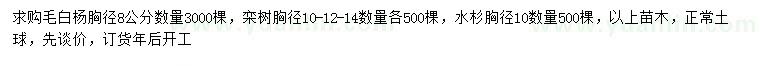 求購(gòu)毛白楊、欒樹、水杉