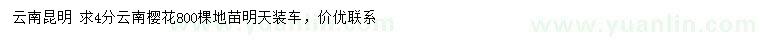 求購(gòu)4公分云南櫻花