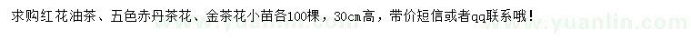求購紅花油茶、五色赤丹茶花、金茶花小苗