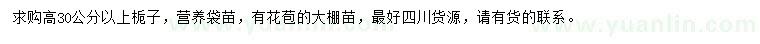 求購高30公分以上梔子