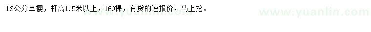 求購13公分單櫻