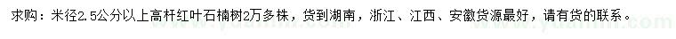 求購米徑2.5公分以上高桿紅葉石楠樹