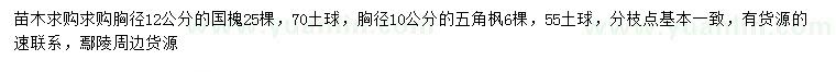 求購(gòu)胸徑12公分國(guó)槐、10公分五角楓