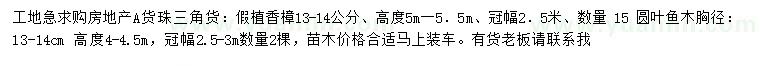 求購13、14公分香樟、圓葉魚木