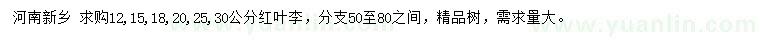 求購(gòu)12、15、18、20、25、30公分紅葉李