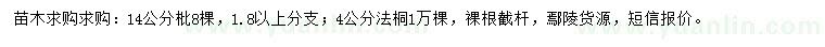 求購(gòu)14公分枇杷、4公分法桐
