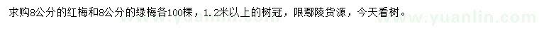 求購8公分紅梅、綠梅