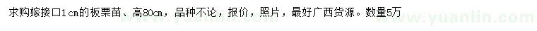 求購嫁接口1公分板栗苗