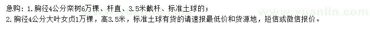 求購胸徑4公分欒樹、大葉女貞
