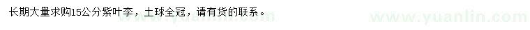 求購(gòu)15公分紫葉李