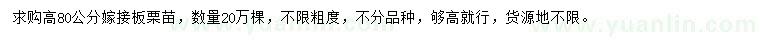 求購高80公分嫁接板栗苗
