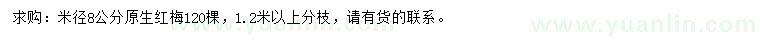 求購米徑8公分紅梅