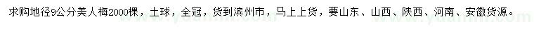 求購(gòu)地徑9公分美人梅