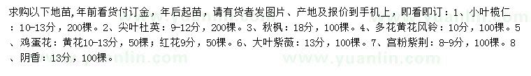 求購小葉欖仁、尖葉杜英、秋楓等