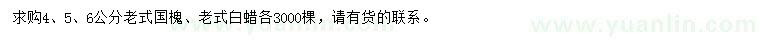 求購4、5、6公分老式國槐、老式白蠟