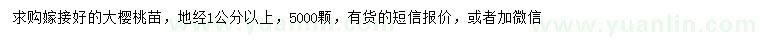求購(gòu)地徑1公分以上大櫻桃苗