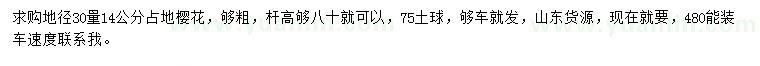 求購(gòu)地徑30量14公分占地櫻花