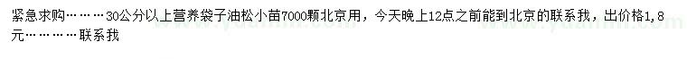 求購30公分以上油松小苗