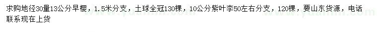 求購地徑30量13公分早櫻、10公分紫葉李