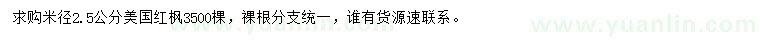求購米徑2.5公分美國紅楓