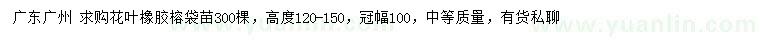 求購冠幅100公分花葉橡膠榕袋苗