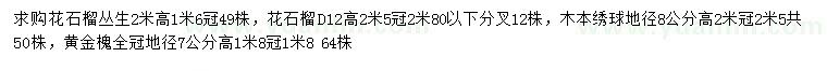 求購(gòu)花石榴、木本繡球、黃金槐