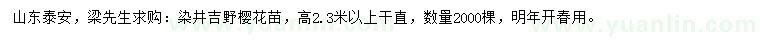 求購高2.3米以上染井吉野櫻花苗