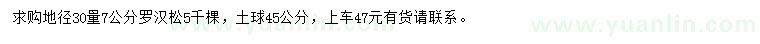 求購地徑30量7公分羅漢松