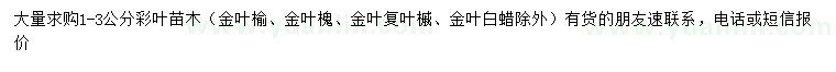 求購1-3公分彩葉苗木