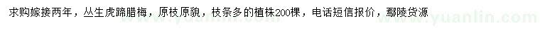 求購(gòu)叢生虎蹄臘梅