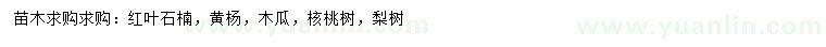 求購購紅葉石楠、黃楊、木瓜等