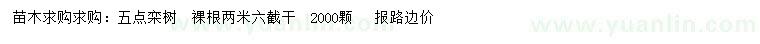 求購5公分欒樹