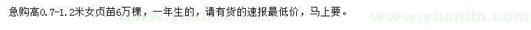 求購高0.7-1.2米女貞苗