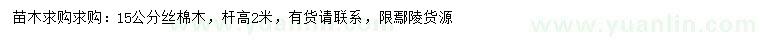 求購15公分絲棉木