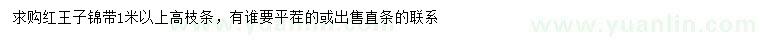 求購(gòu)高1米以上紅王子錦帶