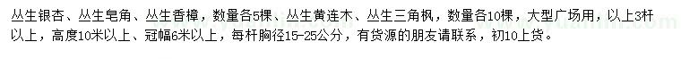 求購(gòu)叢生銀杏、叢生皂角、叢生香樟等