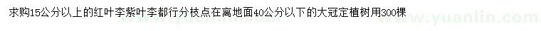 求購15公分以上紅葉李、紫葉李
