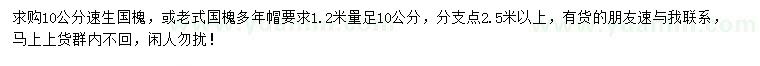 求購1.2米量10公分速生國槐、老式國槐