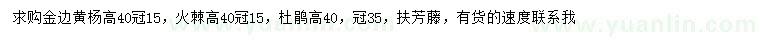 求購金邊黃楊、火棘、杜鵑等