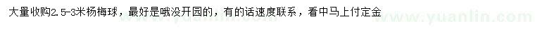 求購2.5-3米楊梅球