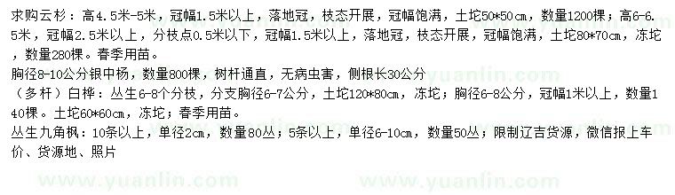 求購云杉、銀中楊、白樺等