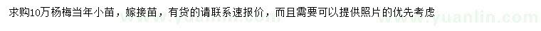求購楊梅當(dāng)年小苗