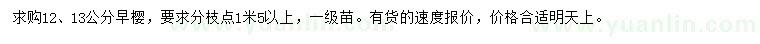 求購12、13公分早櫻