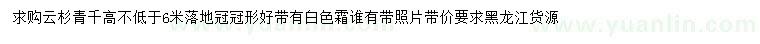 求購高6米以上云杉青千