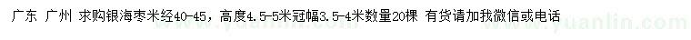 求購米徑40-45公分銀海棗