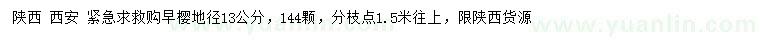 求購地徑13公分早櫻