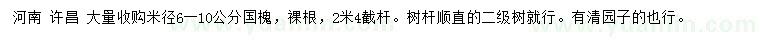 求購米徑6-10公分國槐